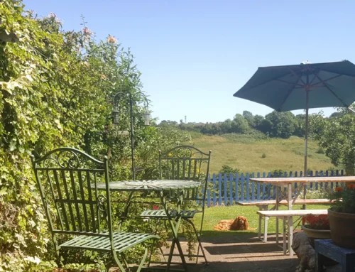 National Relaxation Day at Ravenswing Manor