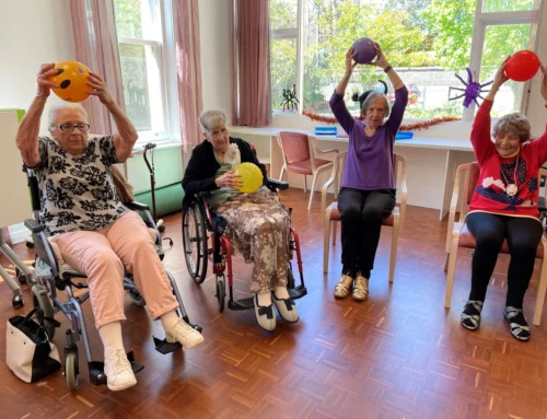 Chair Exercise at Ravenswing Manor