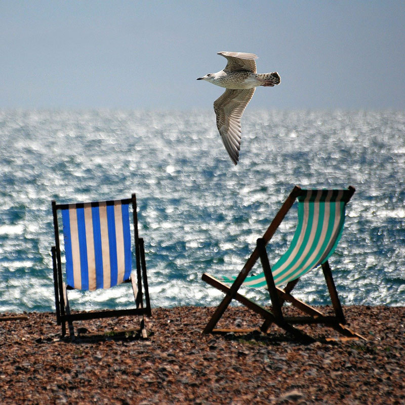 Summer Beach Outings